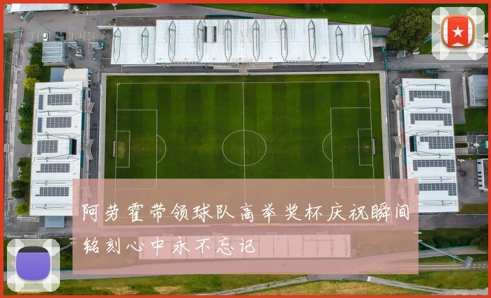 阿劳霍带领球队高举奖杯庆祝瞬间铭刻心中永不忘记