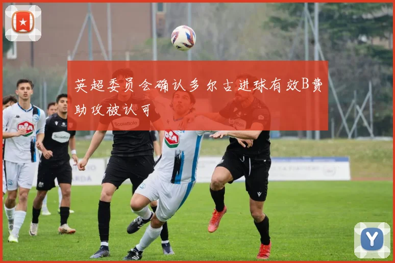 英超委员会确认多尔古进球有效B费助攻被认可